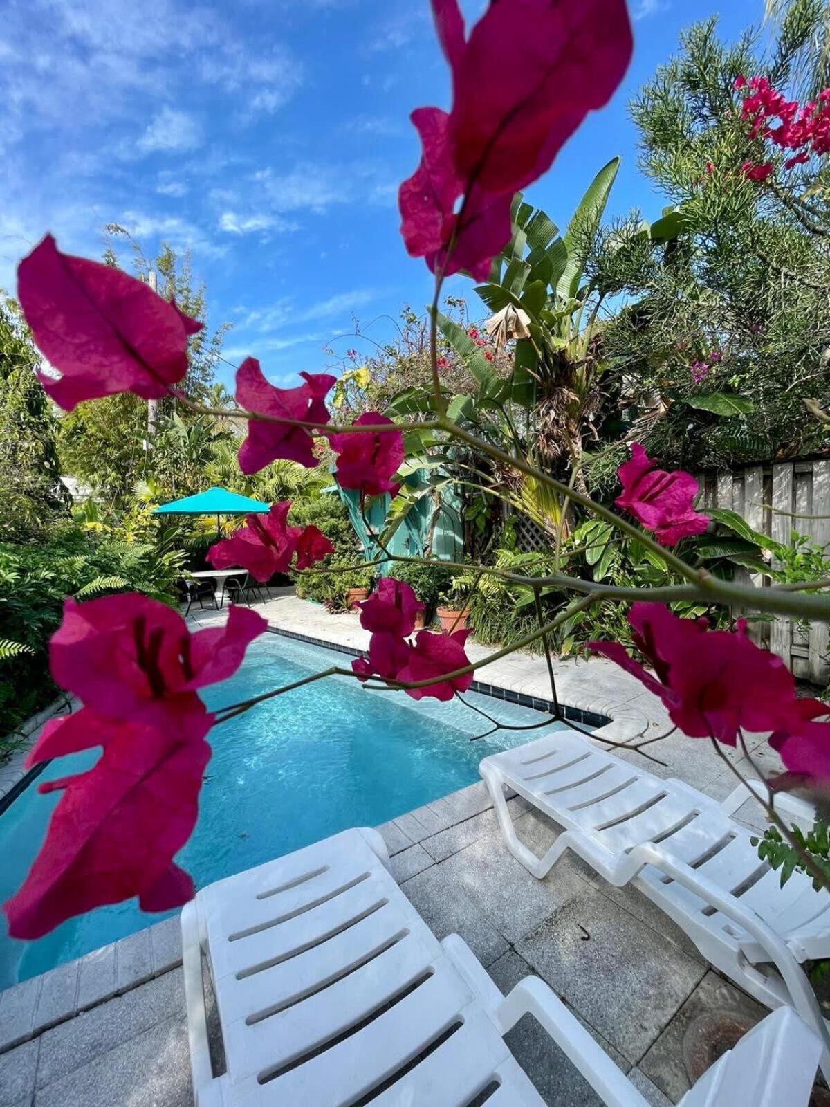 Delight And Cozy Apt Close To Las Olas & The Beach ฟอร์ต ลอเดอร์เดล ภายนอก รูปภาพ