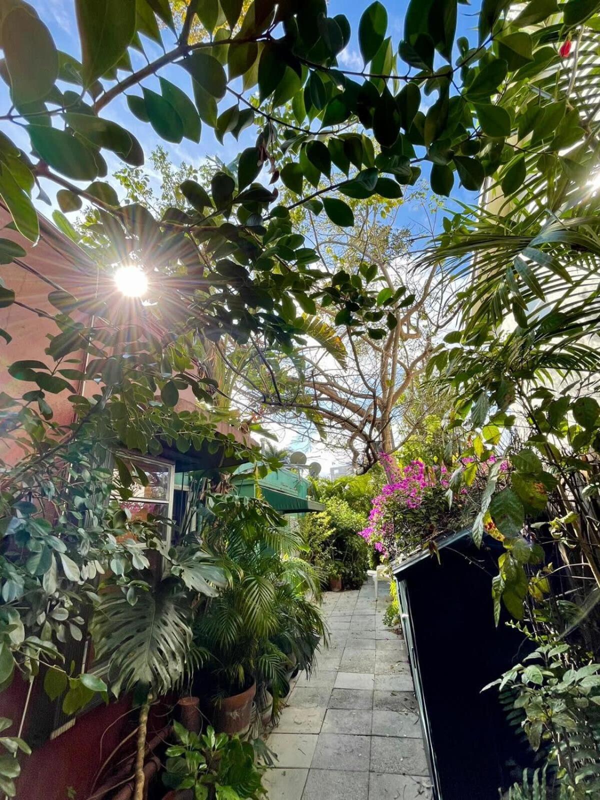 Delight And Cozy Apt Close To Las Olas & The Beach ฟอร์ต ลอเดอร์เดล ภายนอก รูปภาพ